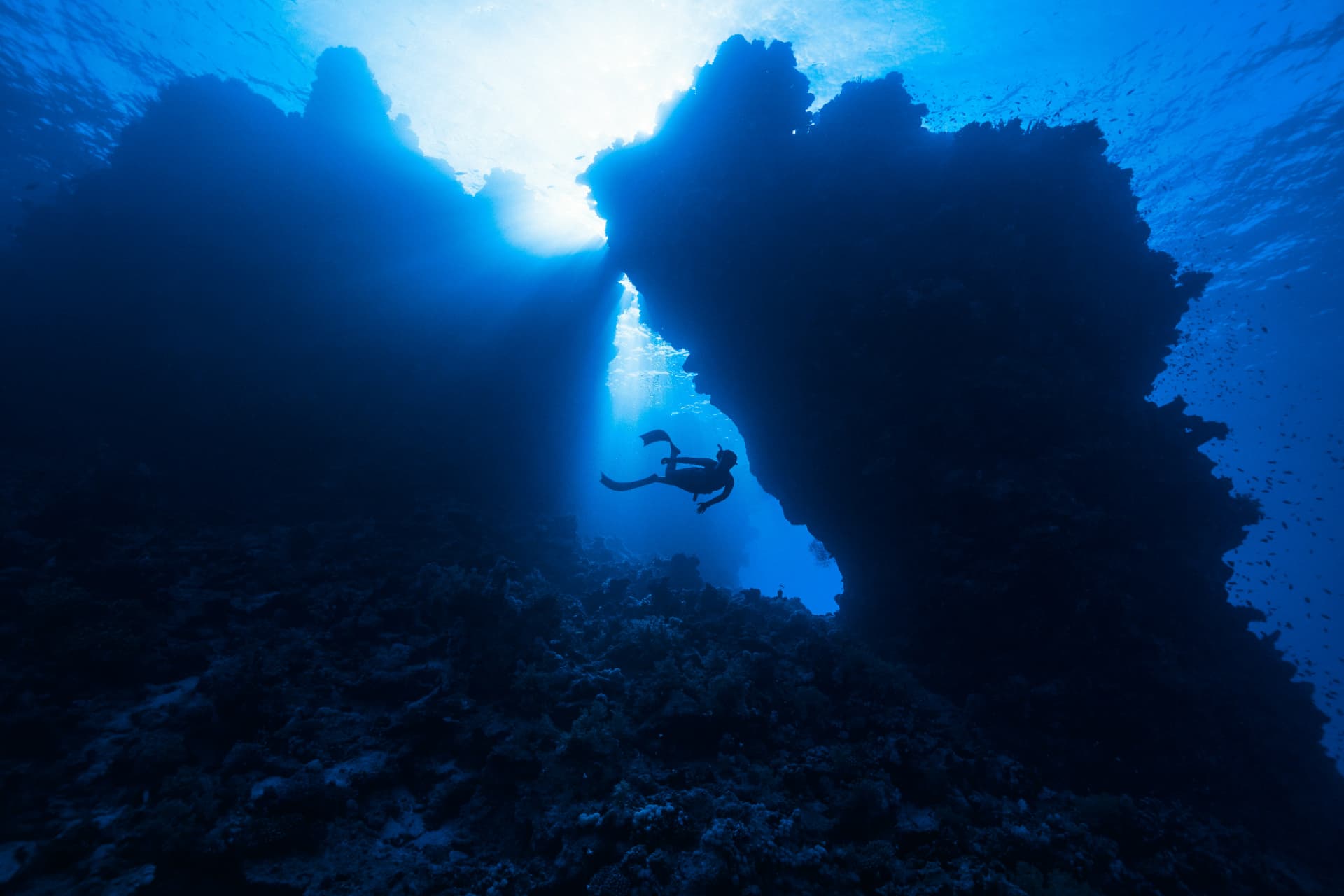 Freediver v modré hloubce u korálového převisu proti světlu z hladiny